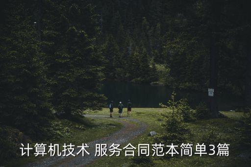 计算机技术 服务合同范本简单3篇