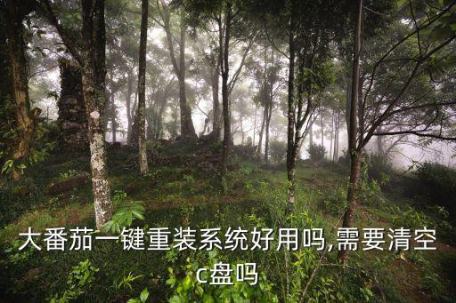 大番茄一键重装系统好用吗,需要清空c盘吗