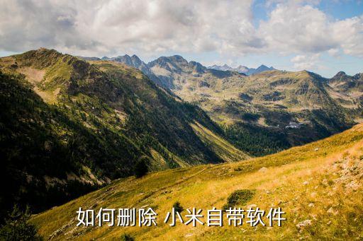 小米手机想卸载系统软件,小米不root卸载系统软件