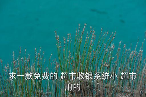 超市软件系统软件