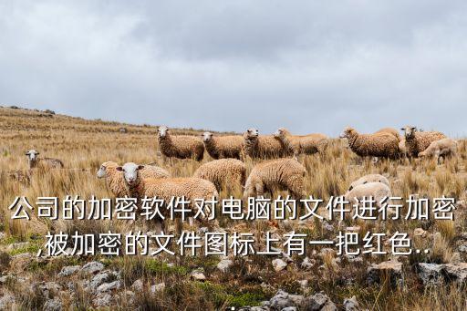 无忧计算机系统软件,计算机的系统软件中,管理计算机中所有的