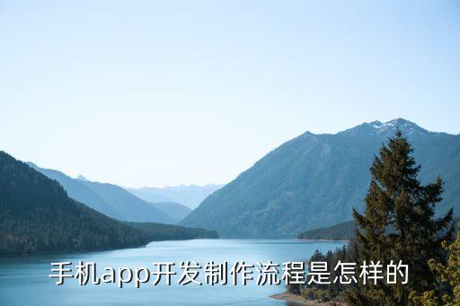 手机app开发制作流程是怎样的