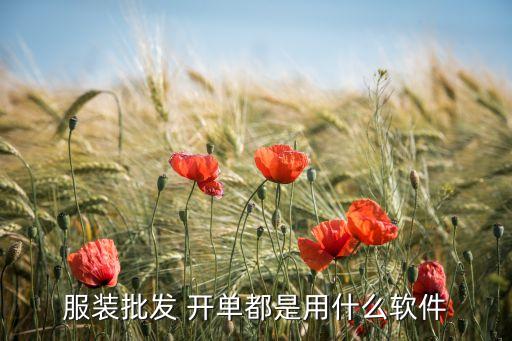 服装批发 开单都是用什么软件