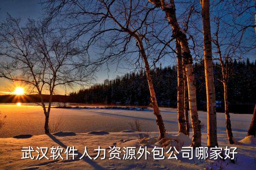  武汉软件人力资源外包公司哪家好