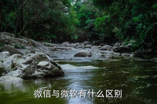 微信与微软有什么区别