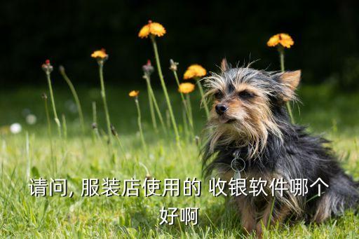 上海服装店收银系统软件,服装店收银系统软件比较简单的
