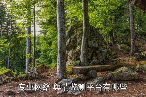 专业网络 舆情监测平台有哪些