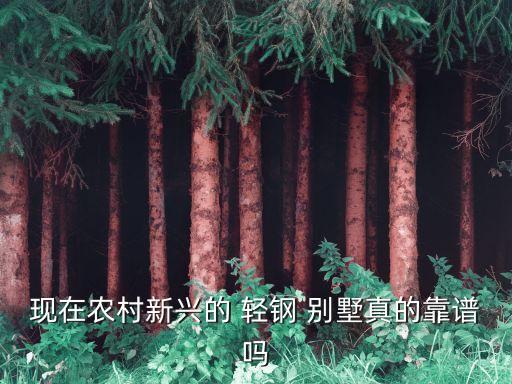 轻钢别墅系统软件,轻钢别墅最大优点:颜值完爆传统砖混房