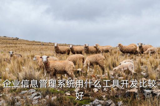 咨询公司系统软件