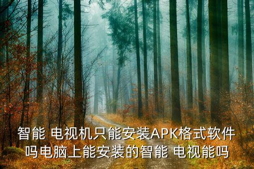 智能 电视机只能安装APK格式软件吗电脑上能安装的智能 电视能吗