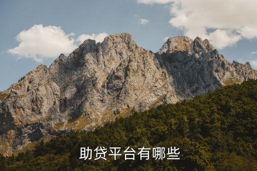 福建金融助贷系统软件