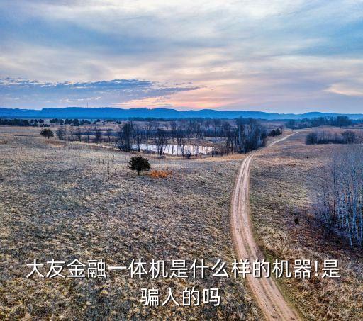  大友金融一体机是什么样的机器!是骗人的吗