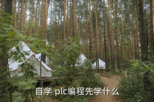 自学 plc编程先学什么