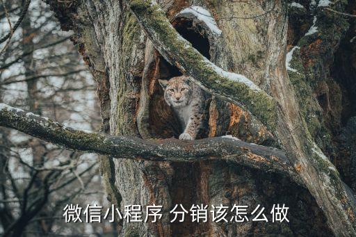 微信小程序 分销该怎么做