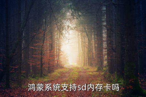  鸿蒙系统支持sd内存卡吗