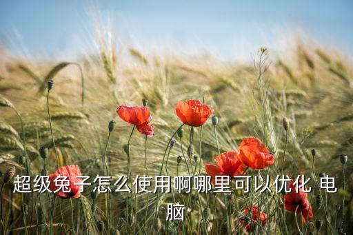 电脑专用个性系统软件,电脑系统软件被删除了怎么恢复