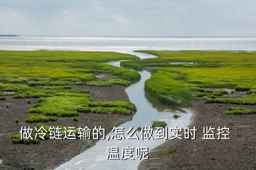 做冷链运输的,怎么做到实时 监控 温度呢