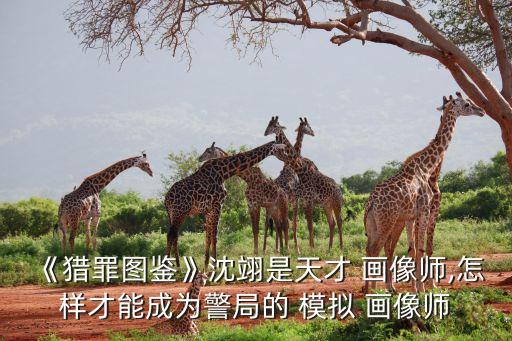 模拟画像系统软件,模拟vivo手机系统软件