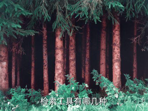 信息检索软件属于系统软件,六个软件中属于系统软件的有