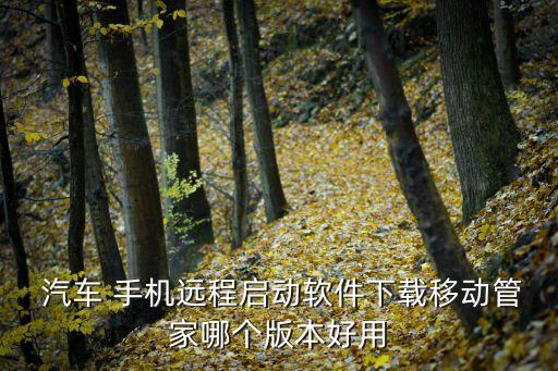  汽车 手机远程启动软件下载移动管家哪个版本好用