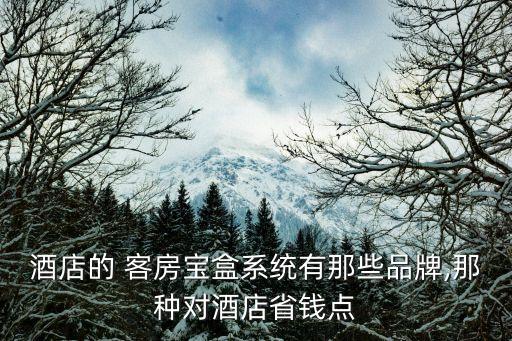 酒店的 客房宝盒系统有那些品牌,那种对酒店省钱点