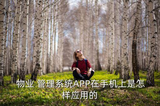 物业预付费管理系统软件,ic卡预付费电表管理系统