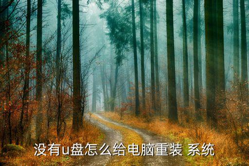 没有u盘怎么给电脑重装 系统