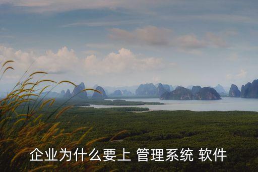 企业为什么要上 管理系统 软件
