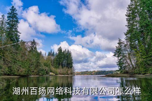  湖州百扬网络科技有限公司怎么样
