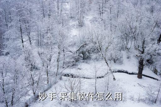 妙手 采集软件怎么用