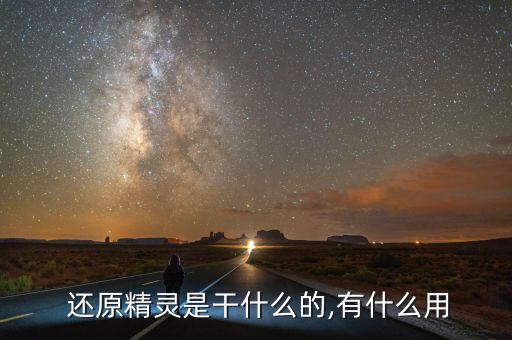  还原精灵是干什么的,有什么用
