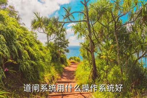 道闸系统用什么操作系统好