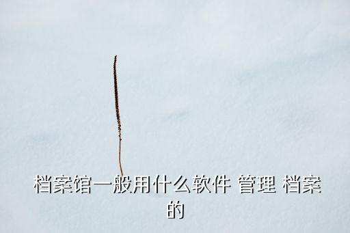  档案馆一般用什么软件 管理 档案的
