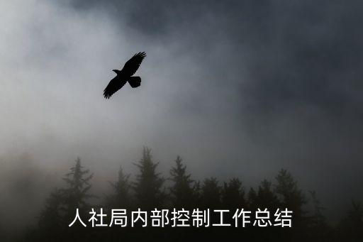 人社局内部控制工作总结