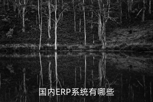 濮阳erp系统软件下载,ERP沙盘模拟软件下载