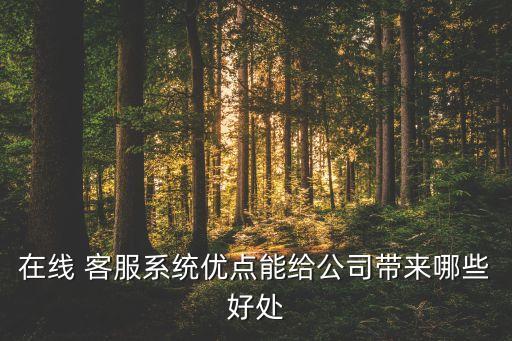 在线 客服系统优点能给公司带来哪些好处