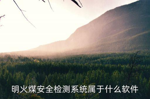 明火煤安全检测系统属于什么软件