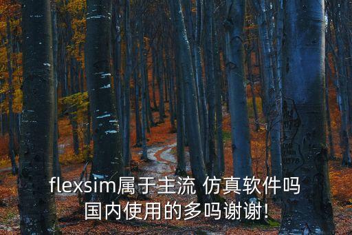 flexsim属于主流 仿真软件吗国内使用的多吗谢谢!