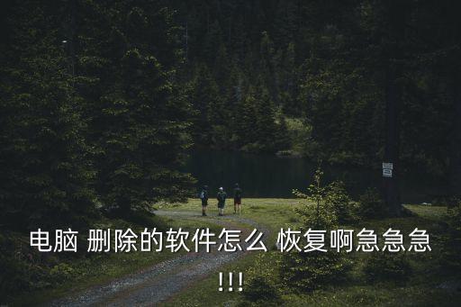 电脑 删除的软件怎么 恢复啊急急急!!!
