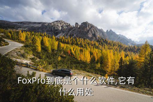 FoxPro到底是个什么软件,它有什么用处