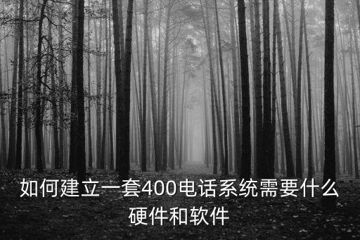 如何建立一套400电话系统需要什么硬件和软件