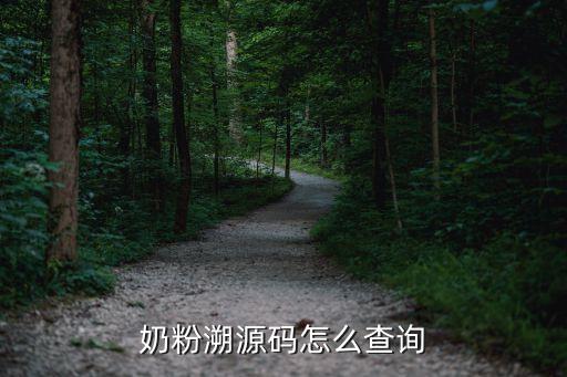 奶粉溯源码怎么查询