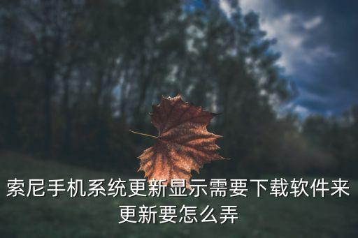 Xperia系统软件提取,怎么把手机系统软件提取出来