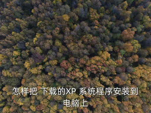 xp系统下载好了怎么安装系统软件