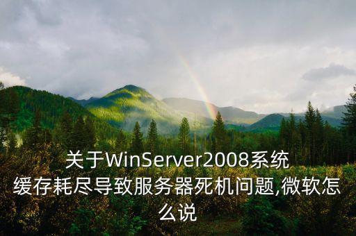 windows2008系统软件运行卡