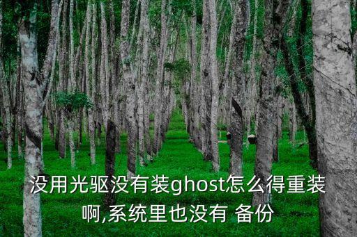 没用光驱没有装ghost怎么得重装啊,系统里也没有 备份