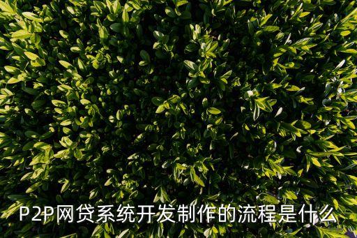 系统软件确认表