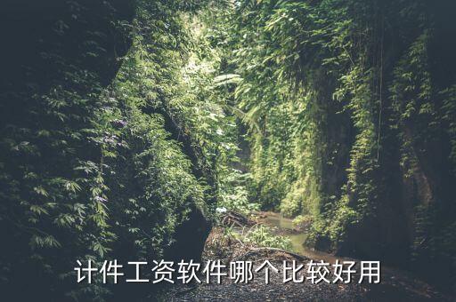 江苏薪资管理系统软件,用友薪资管理系统心得体会