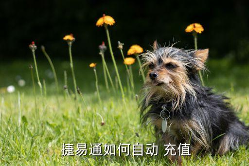 捷易通充值系统软件,淘宝qq自动充值捷易通