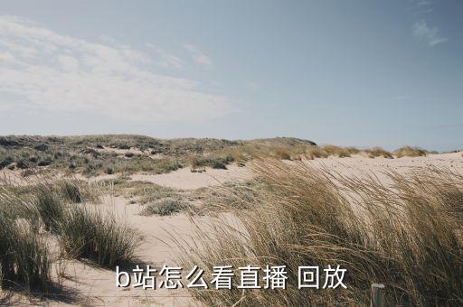 b站怎么看直播 回放